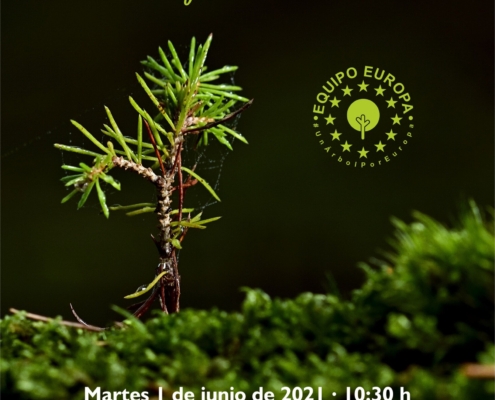 1 junio Cartel Árbol europeo 2021